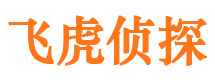 尖扎侦探公司